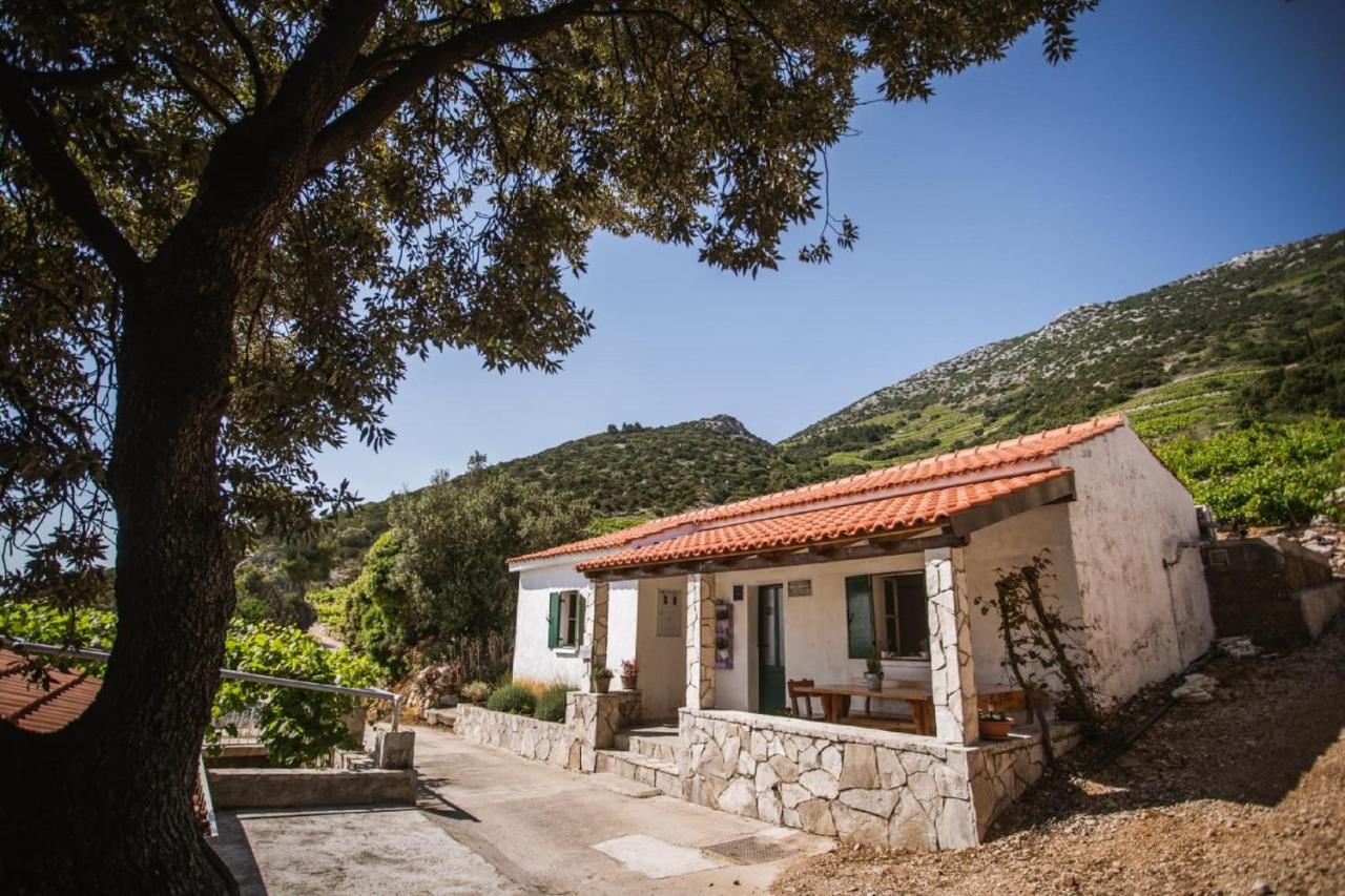 Holiday Home Potocinarka Potomje Ngoại thất bức ảnh